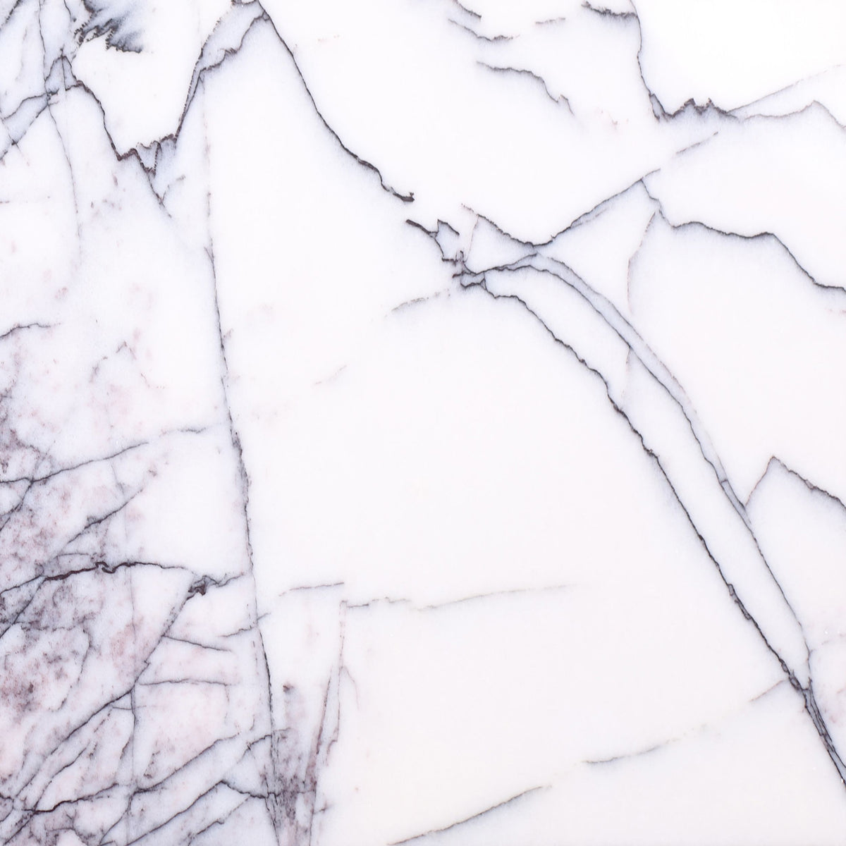 Violeta Polished 12'' x 12''  x 3/8'' Field Tile