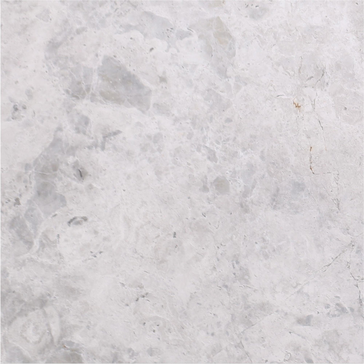 Tundra Grey Polished 12&#39;&#39; x 12&#39;&#39;  x 3/8&#39;&#39; Field Tile