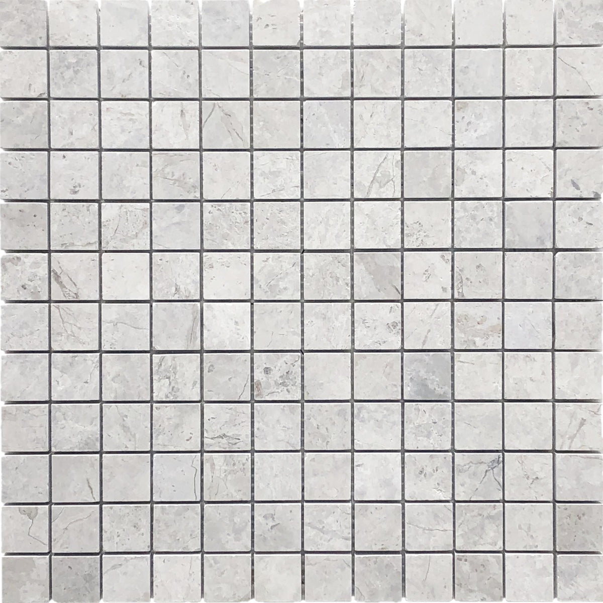 Tundra Grey 1&#39;&#39;x1&#39;&#39; Polished Mosaic