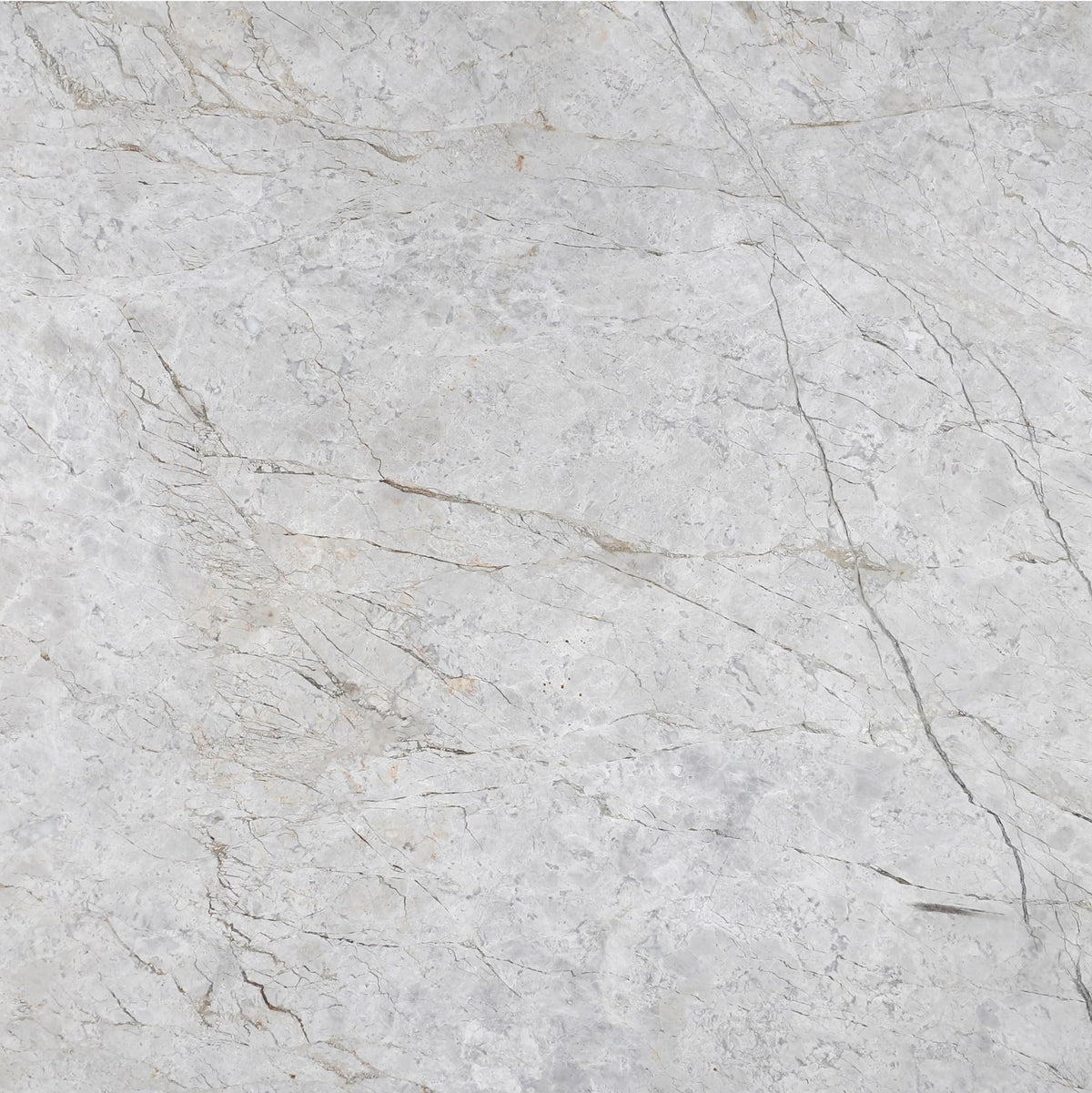 Tundra Grey DA Honed 18&#39;&#39; x 18&#39;&#39;  x 5/8&#39;&#39; Field Tile