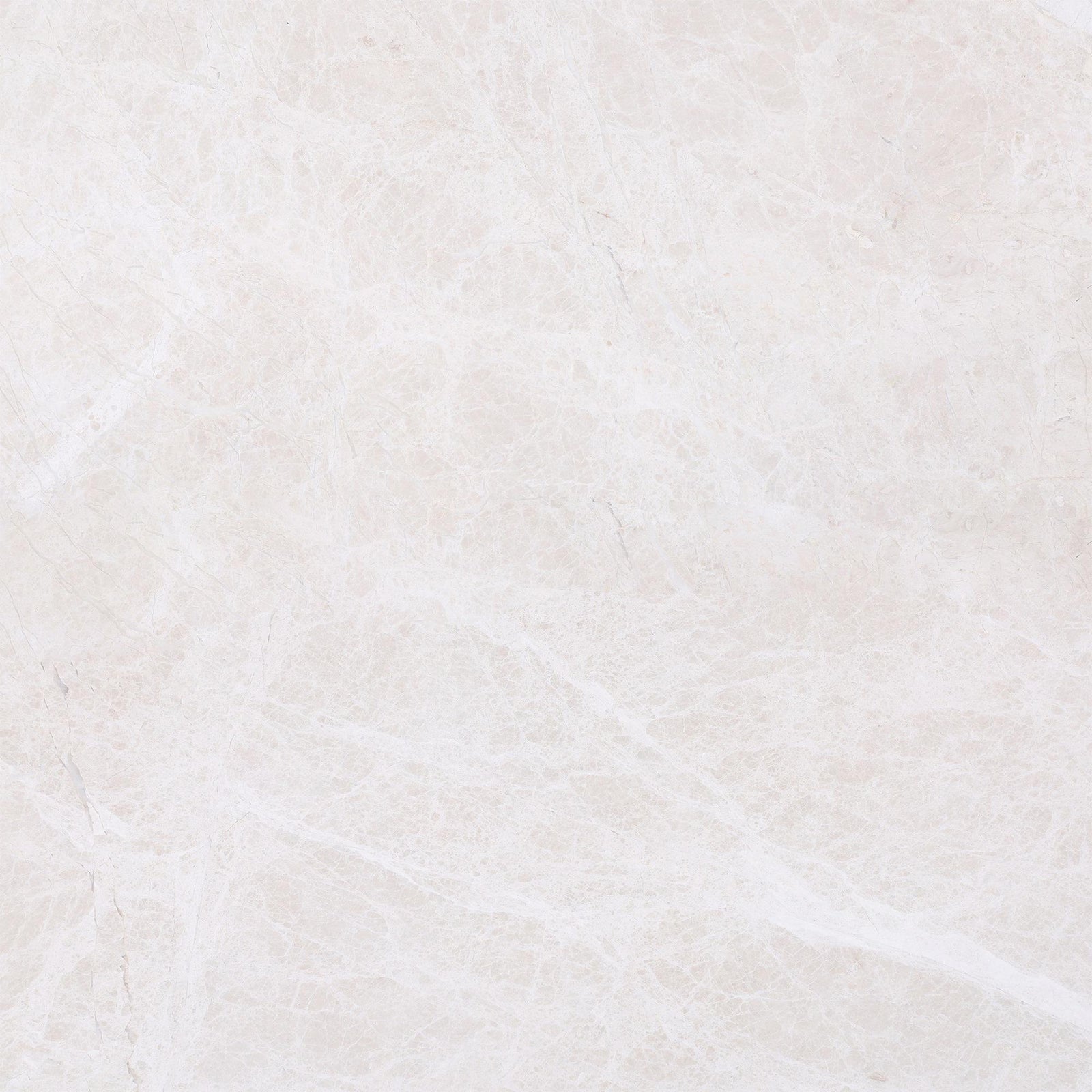 Vanillish Pearl Honed 24'' x 24''  x 5/8'' Field Tile Field Tile 