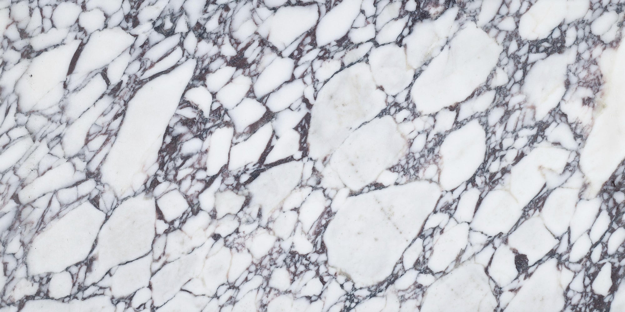 Calacatta Viola  Calacatta Viola Marble | Field Tile, Mosaic & Molding, Featured Tile, Large Format Tile, Landscape