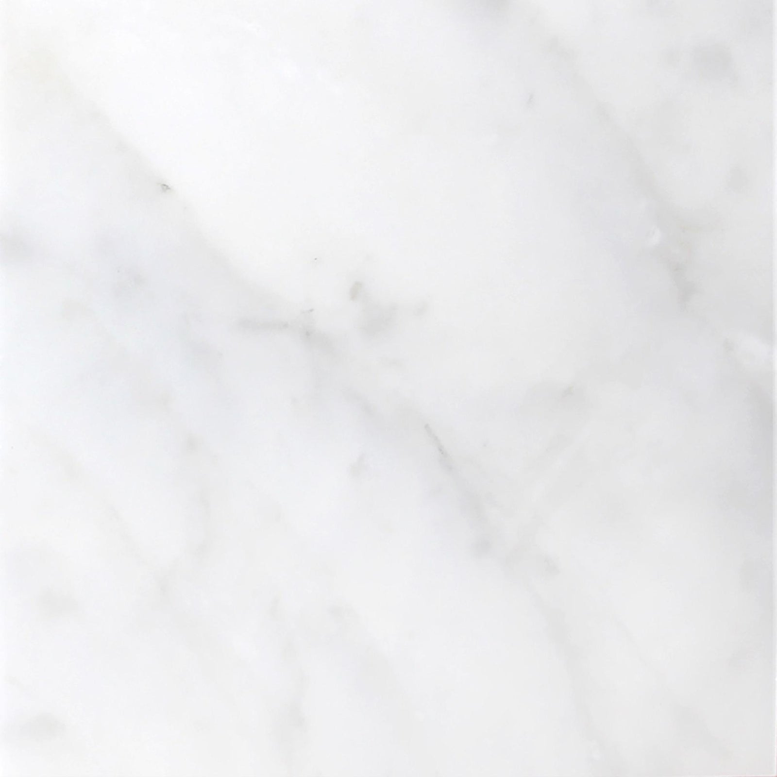 Calacatta Vida Honed 18'' x 18''  x 3/8'' Field Tile Field Tile 