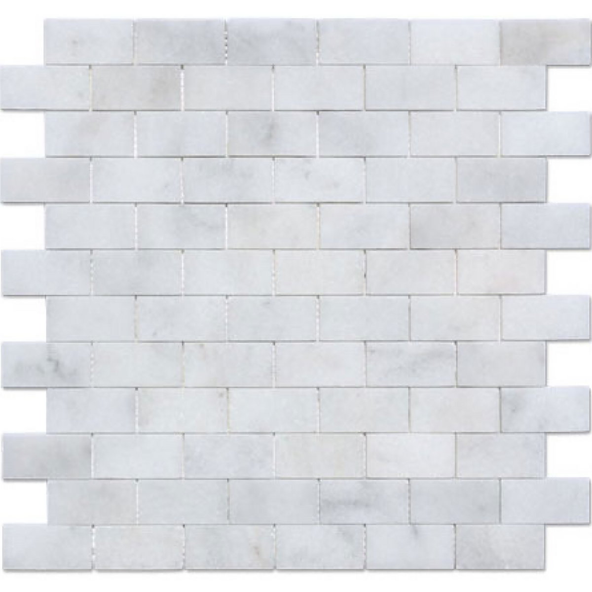 Alba Vera 1''x2'' Polished Mosaic