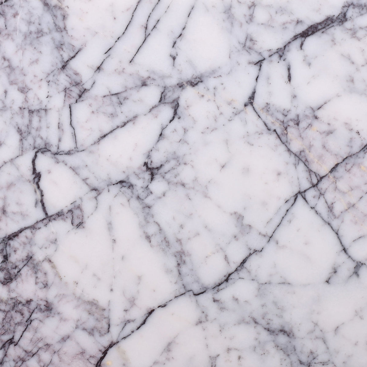 Violeta Polished 12'' x 12''  x 3/8'' Field Tile