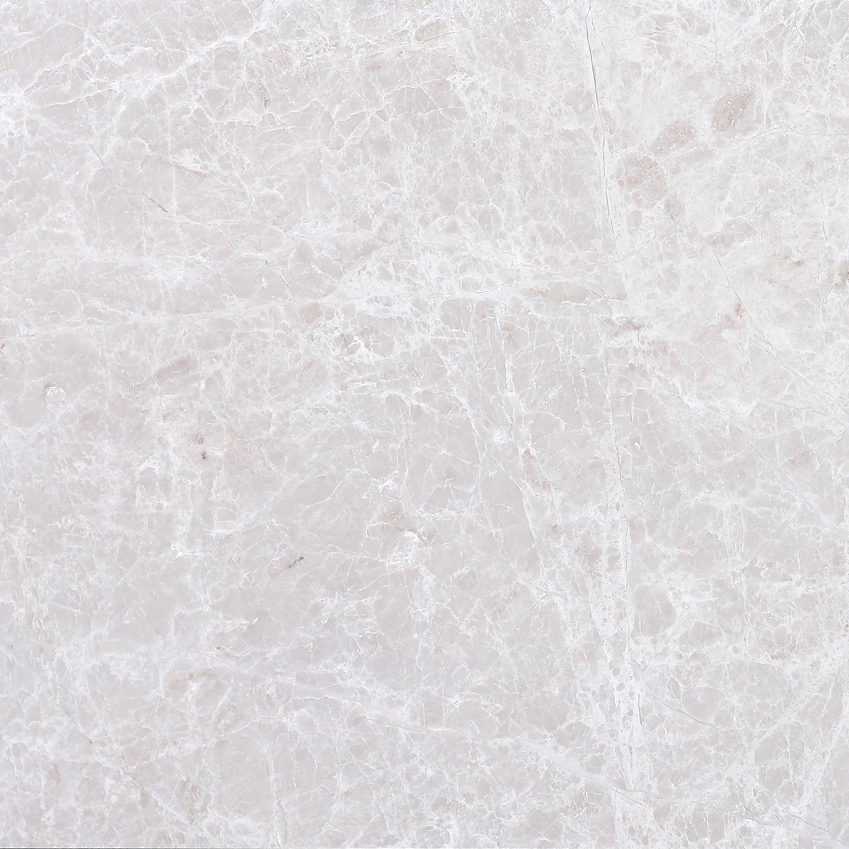 Vanillish Pearl Honed 12'' x 12''  x 3/8'' Field Tile