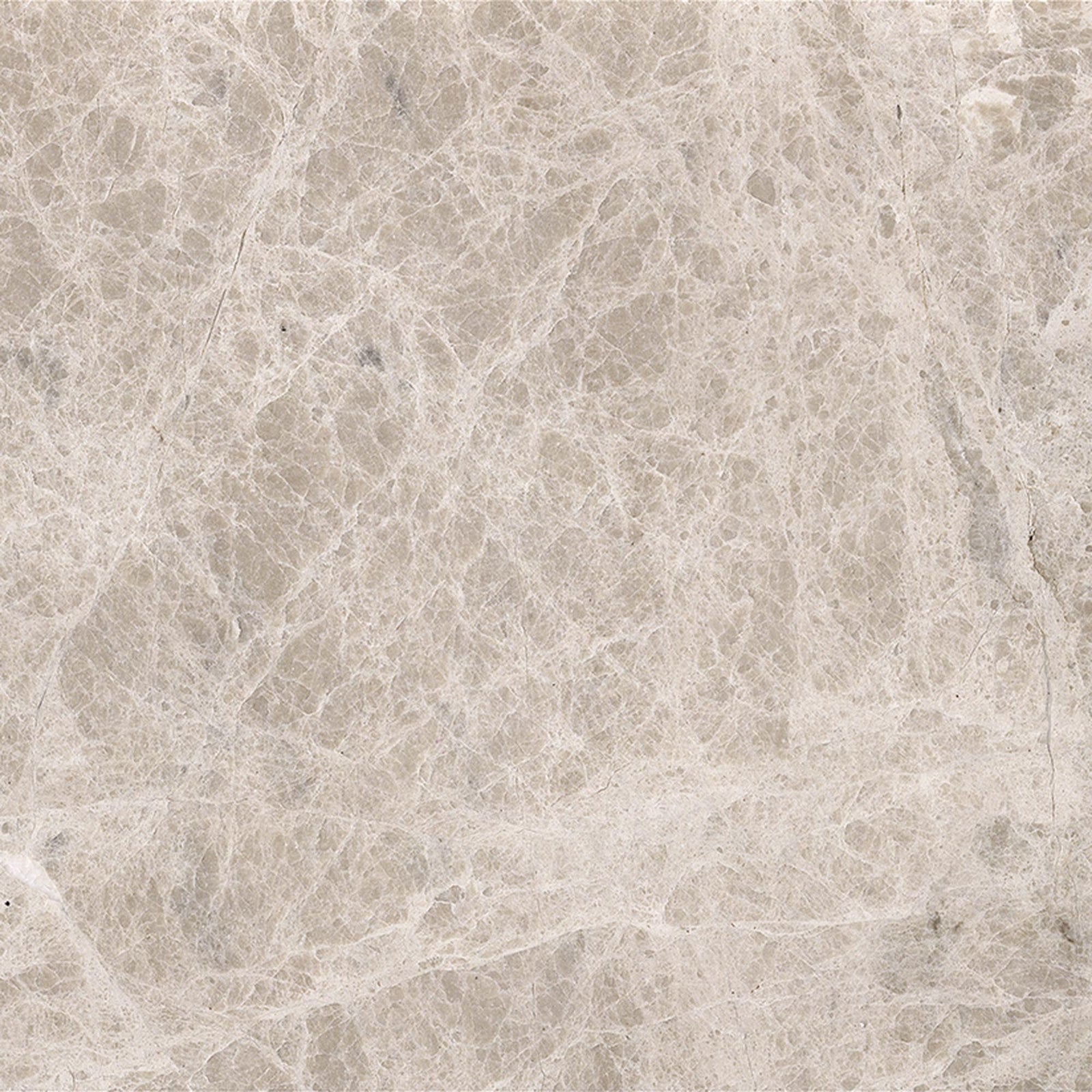 Emperador Light Polished 12'' x 12''  x 3/8'' Field Tile Field Tile 