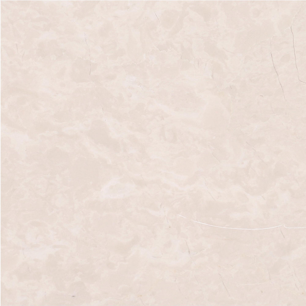 Crema Ella Honed 6&#39;&#39; x 6&#39;&#39;  x 3/8&#39;&#39; Field Tile