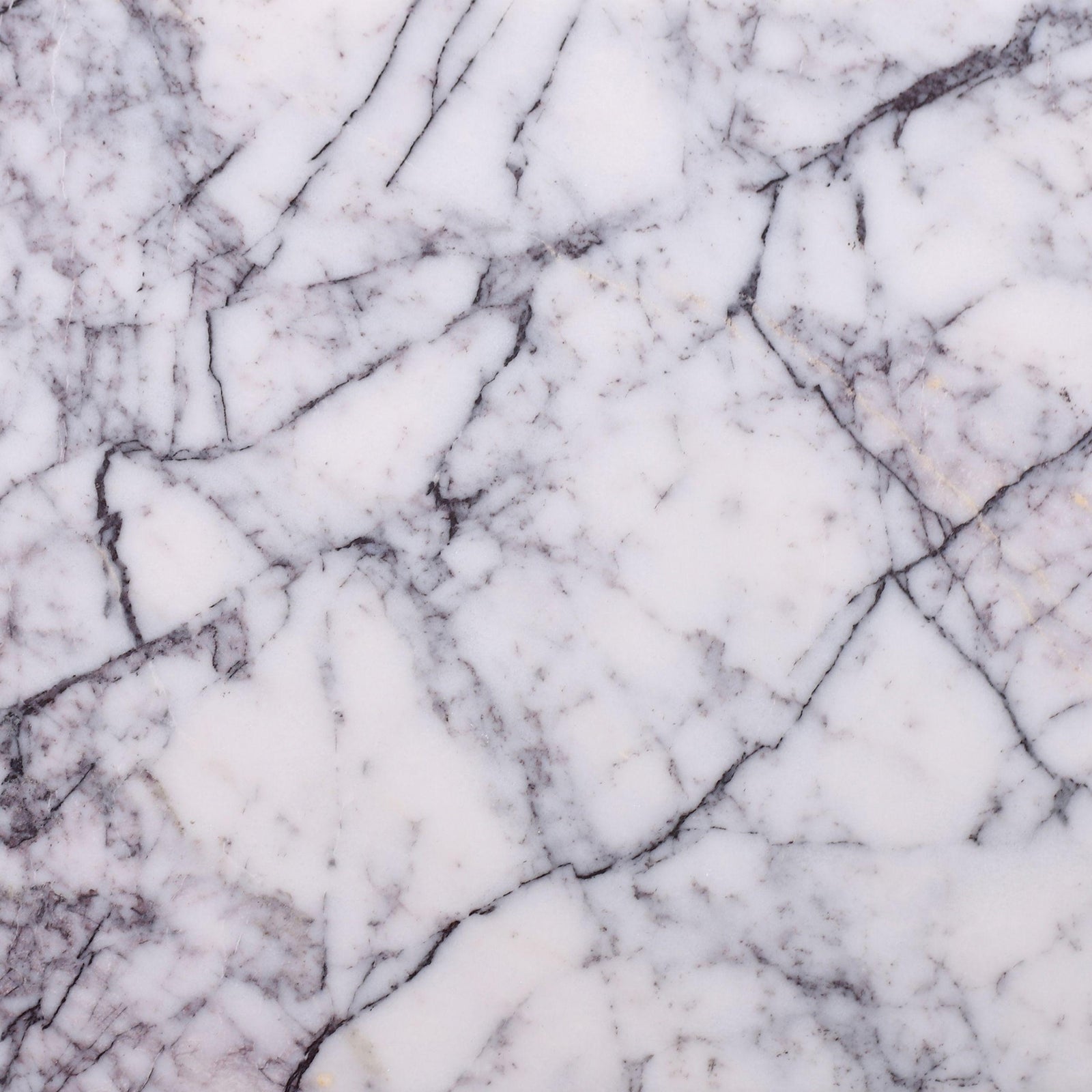 Violeta Polished 12'' x 12''  x 3/8'' Field Tile Field Tile 