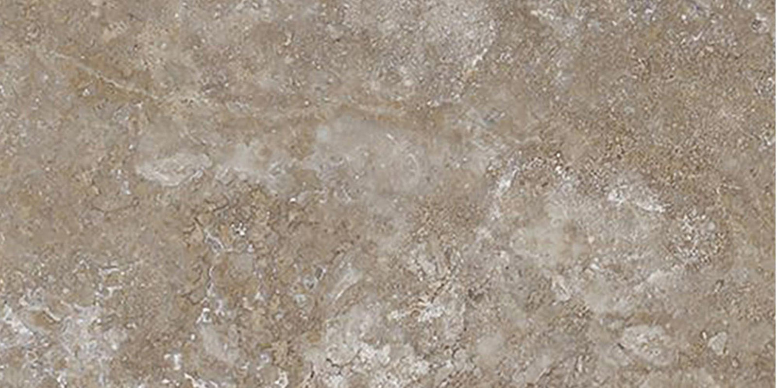 Noce Dark CC Honed 3'' x 6''  x 3/8'' Field Tile Field Tile 