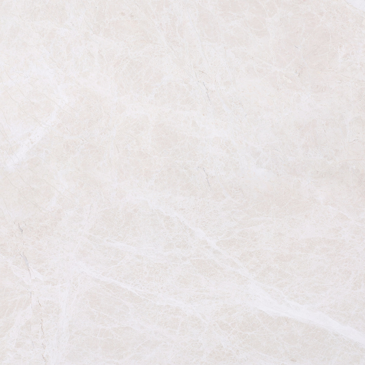 Vanillish Pearl Honed 24'' x 24''  x 5/8'' Field Tile