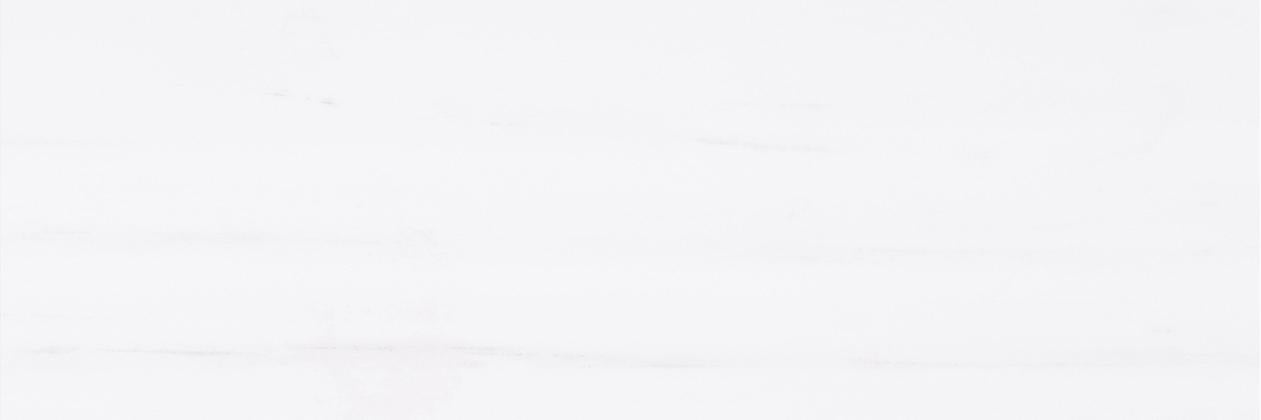 Glacier White Honed 4'' x 12''  x 3/8'' Field Tile Field Tile 