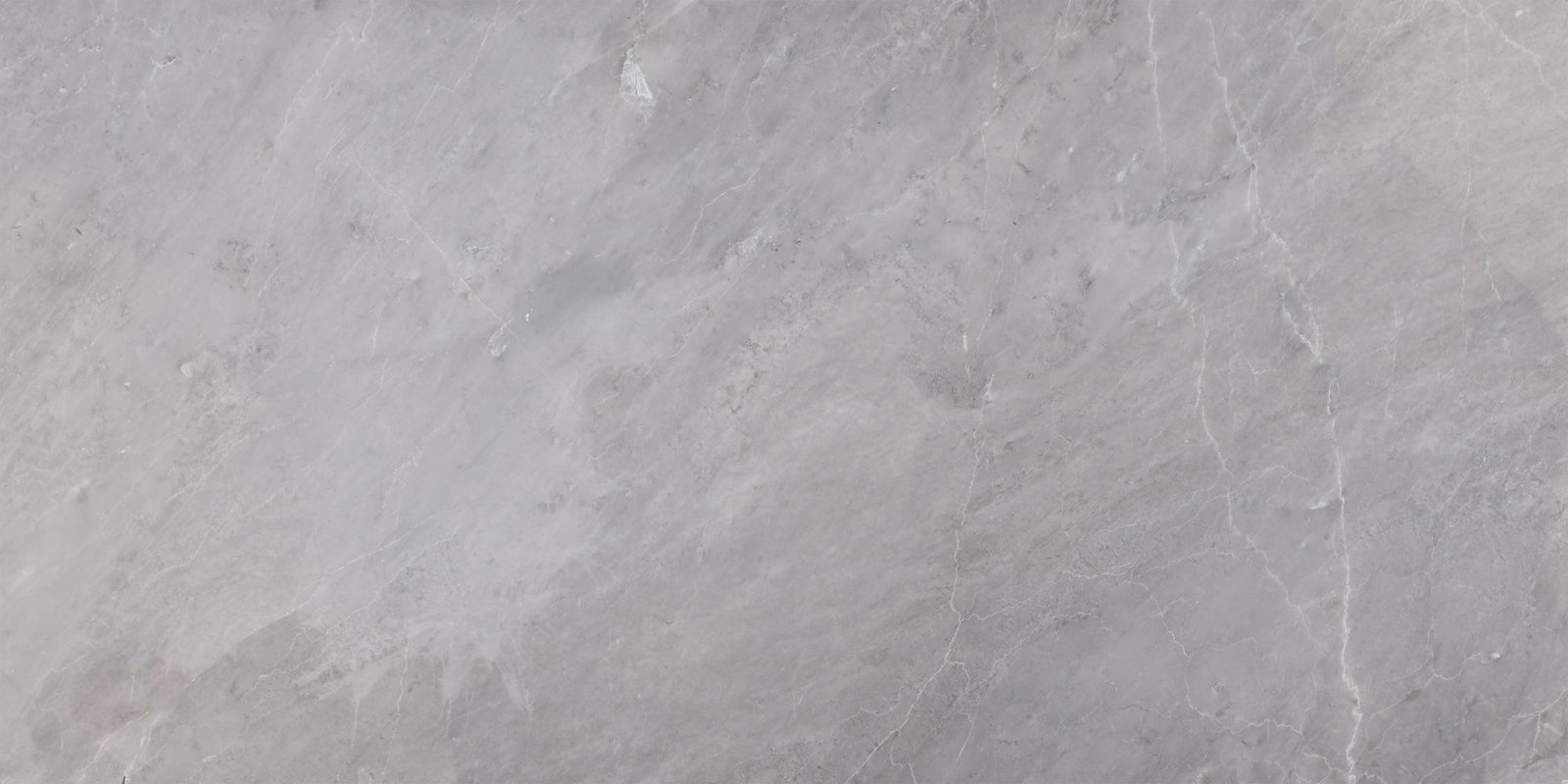 Earth Grey Polished 12'' x 24''  x 1/2'' Field Tile Field Tile 