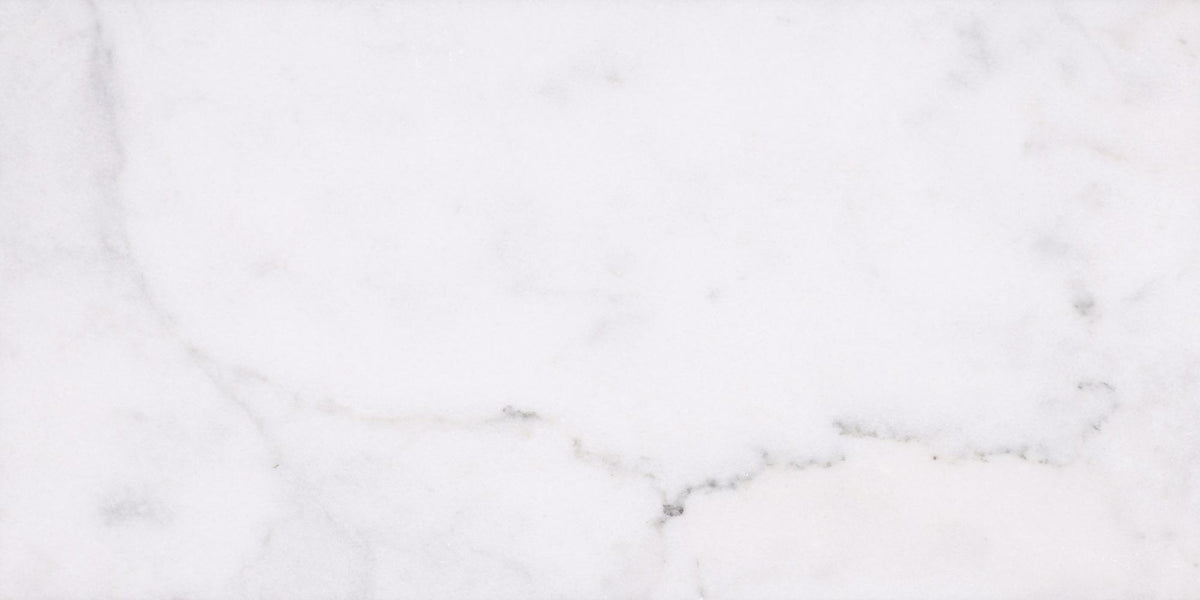 Alba Vera Polished 12&#39;&#39; x 24&#39;&#39;  x 3/8&#39;&#39; Field Tile