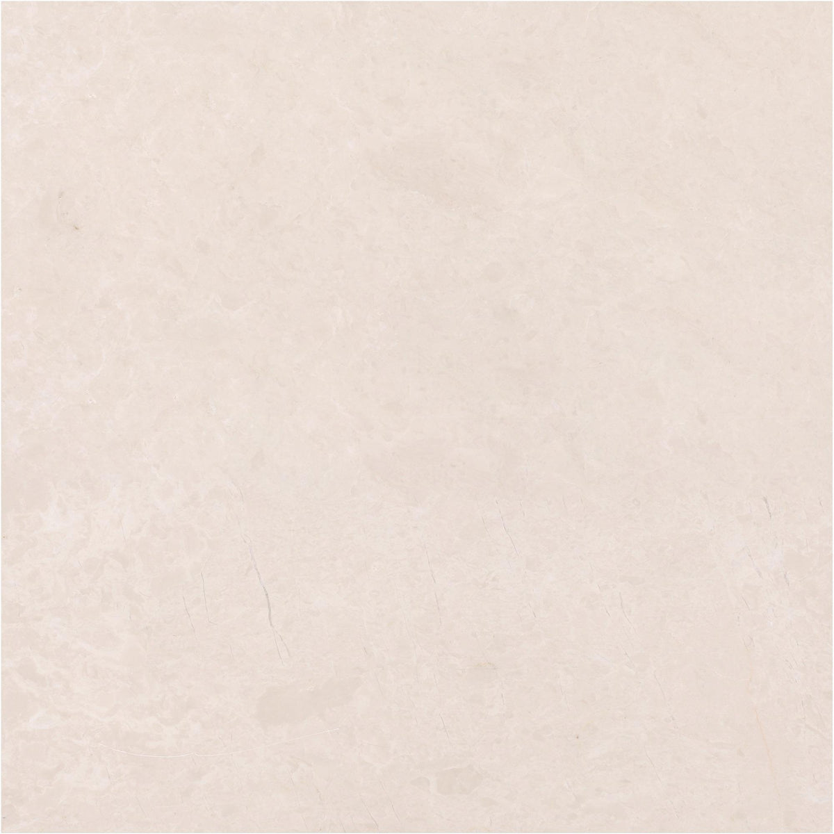 Crema Ella Honed 18&#39;&#39; x 18&#39;&#39;  x 5/8&#39;&#39; Field Tile Field Tile 