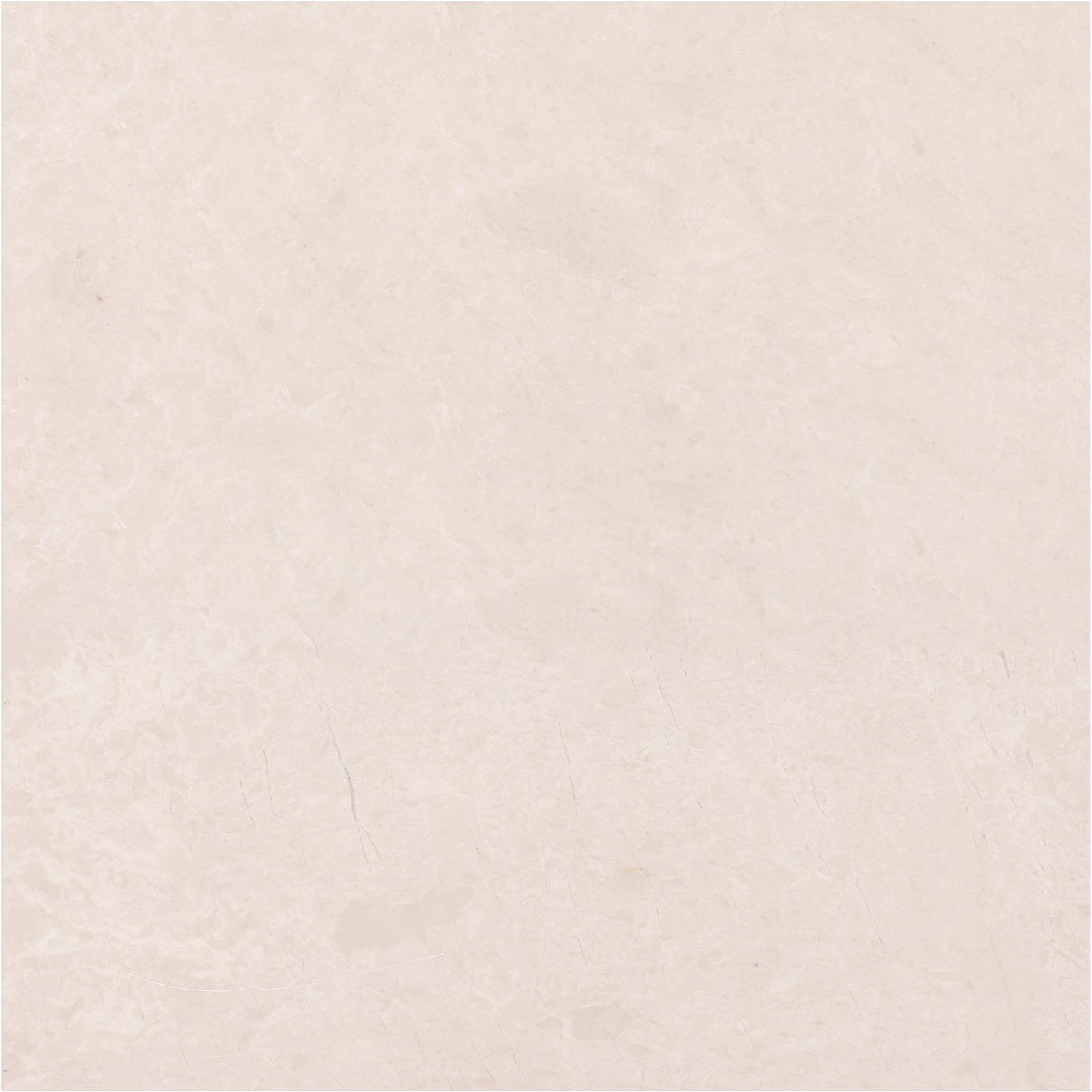 Crema Ella Honed 18'' x 18''  x 5/8'' Field Tile Field Tile 