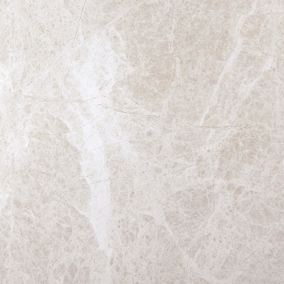 Vanillish Pearl Honed 18'' x 18''  x 5/8'' Field Tile