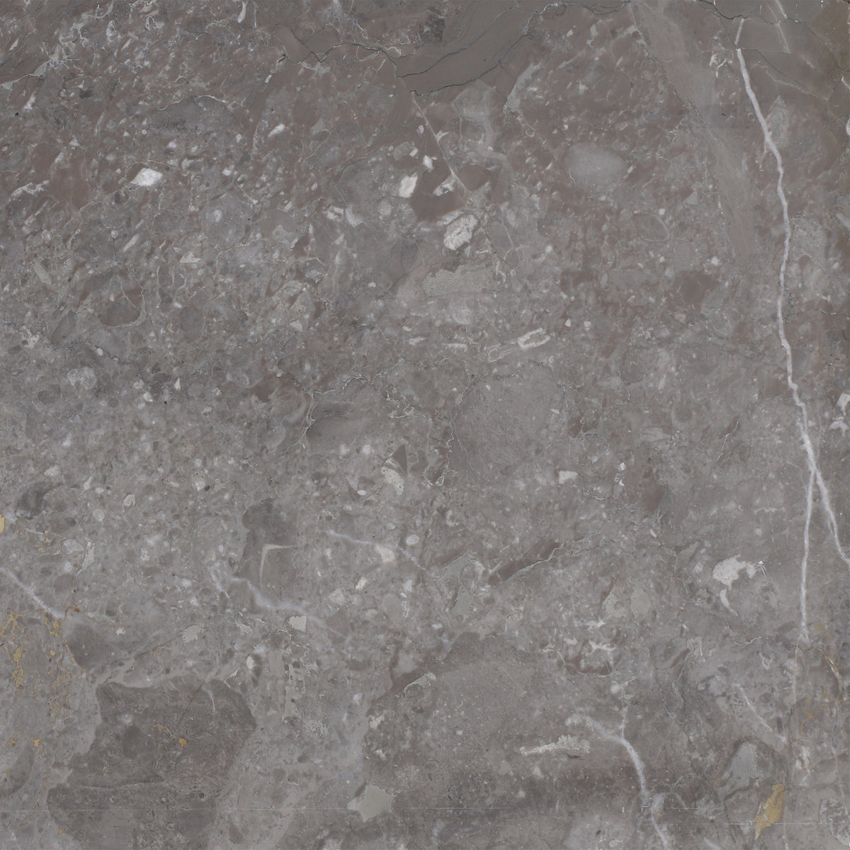 Caribbean Grey Honed 12'' x 12''  x 1/2'' Field Tile Building Materials 