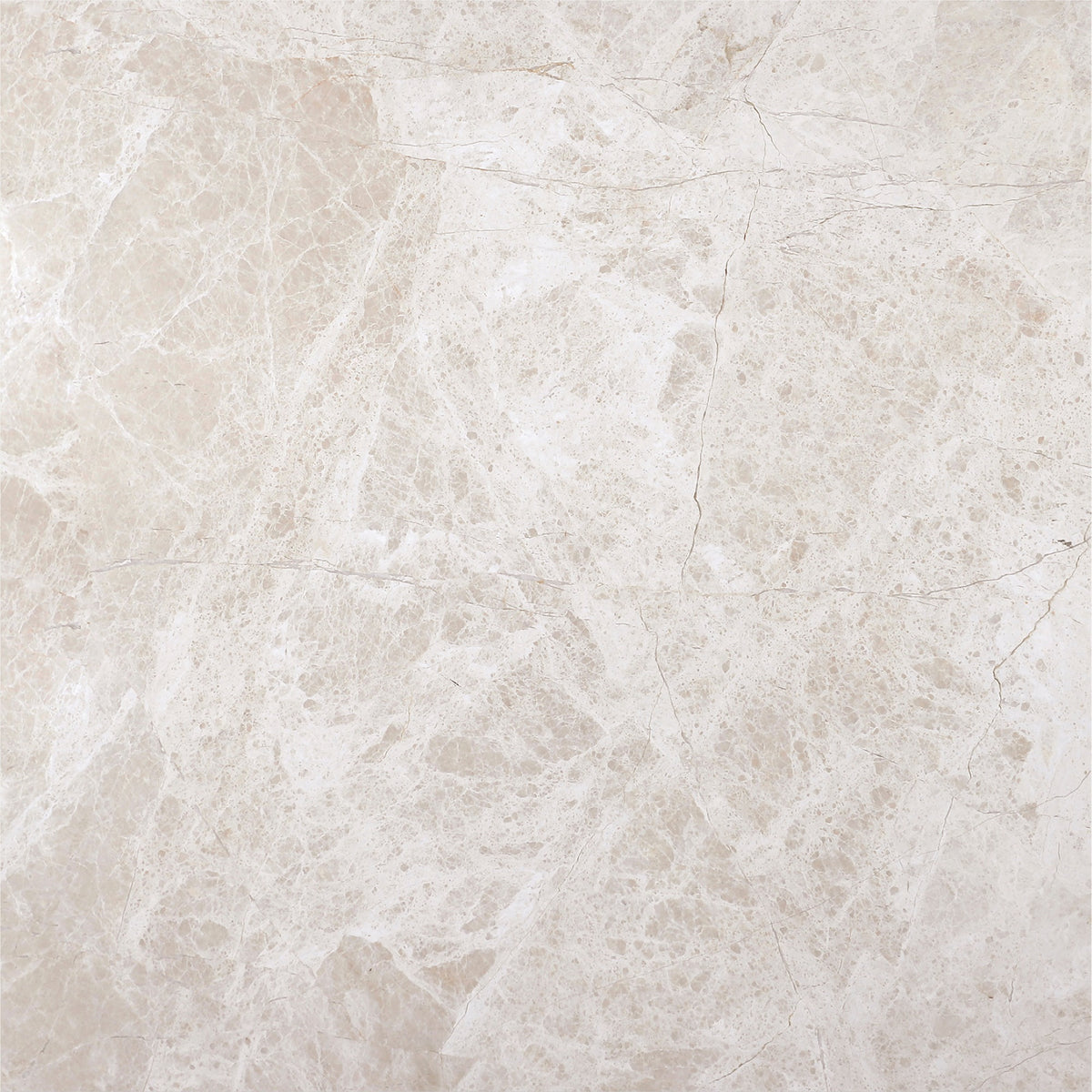 Vanillish Pearl Honed 18'' x 18''  x 5/8'' Field Tile