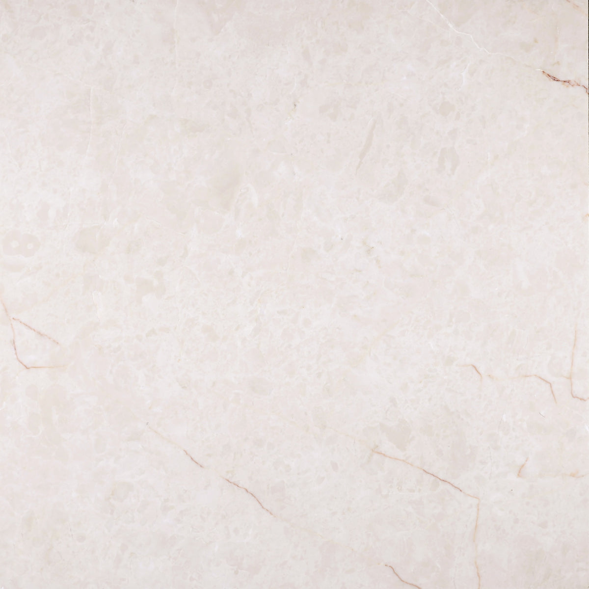 Crema Ella Honed 16'' x 16''  x 1/2'' Field Tile Building Materials 