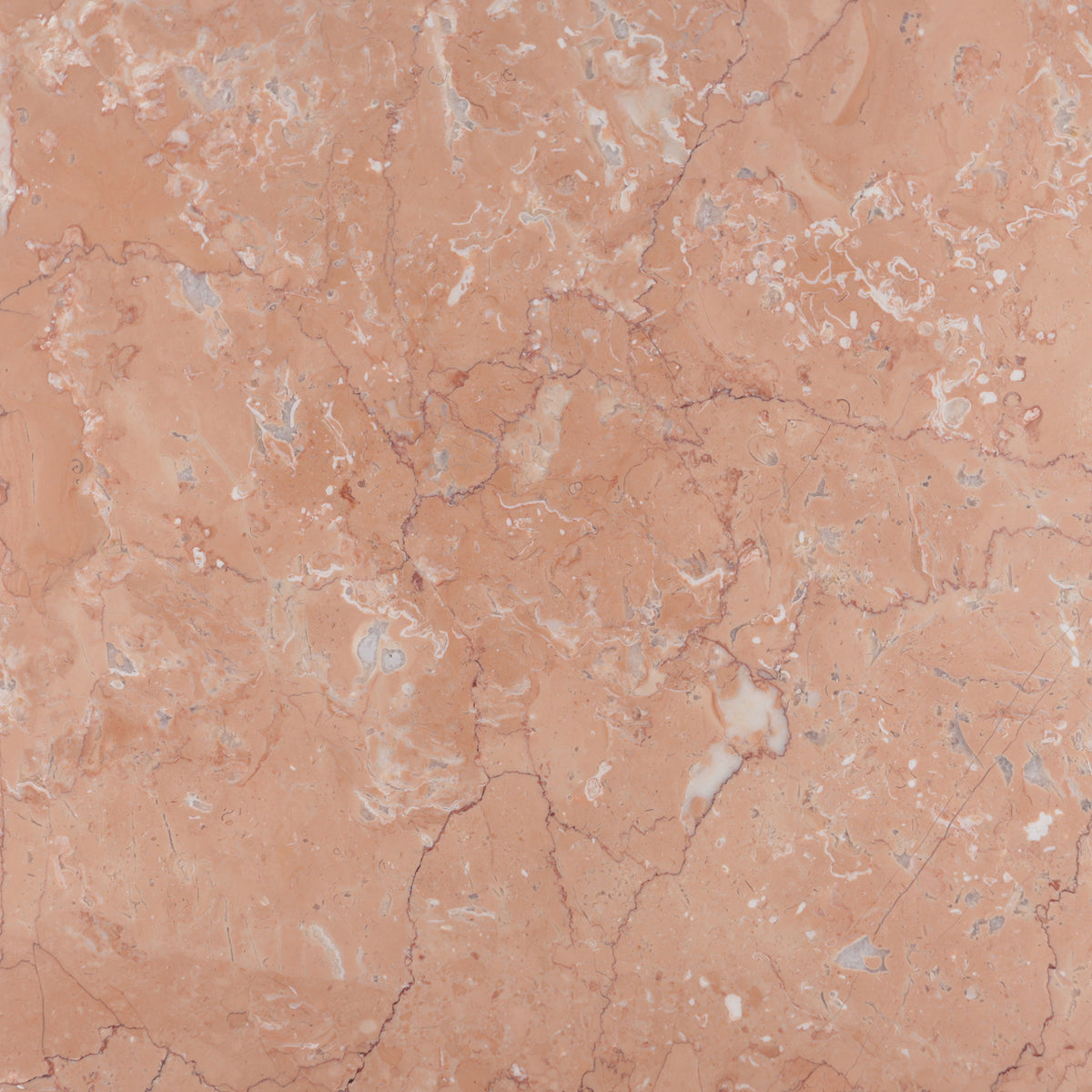 Bellini Honed 12'' x 12''  x 3/8'' Field Tile