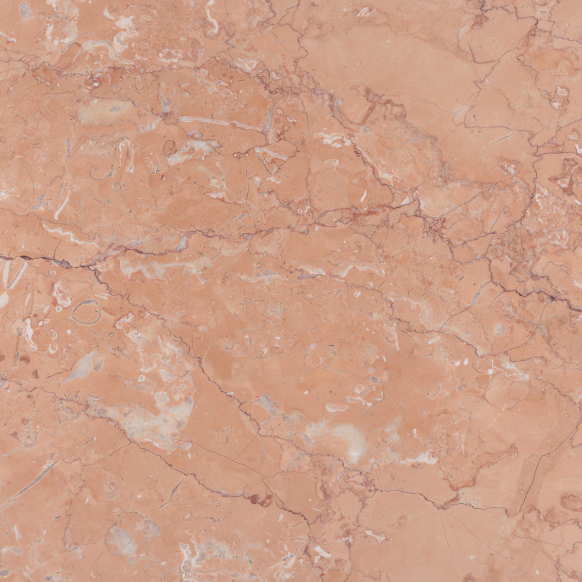 Bellini Honed 12'' x 12''  x 3/8'' Field Tile
