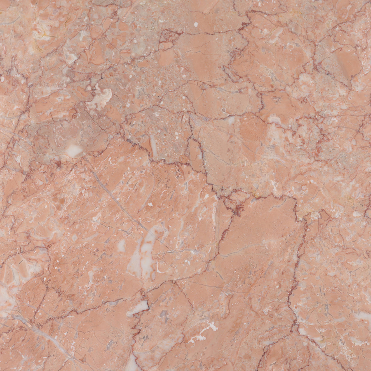 Bellini Honed 12'' x 12''  x 3/8'' Field Tile