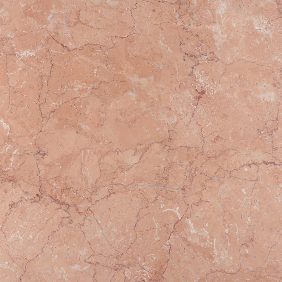Bellini Honed 12'' x 12''  x 3/8'' Field Tile