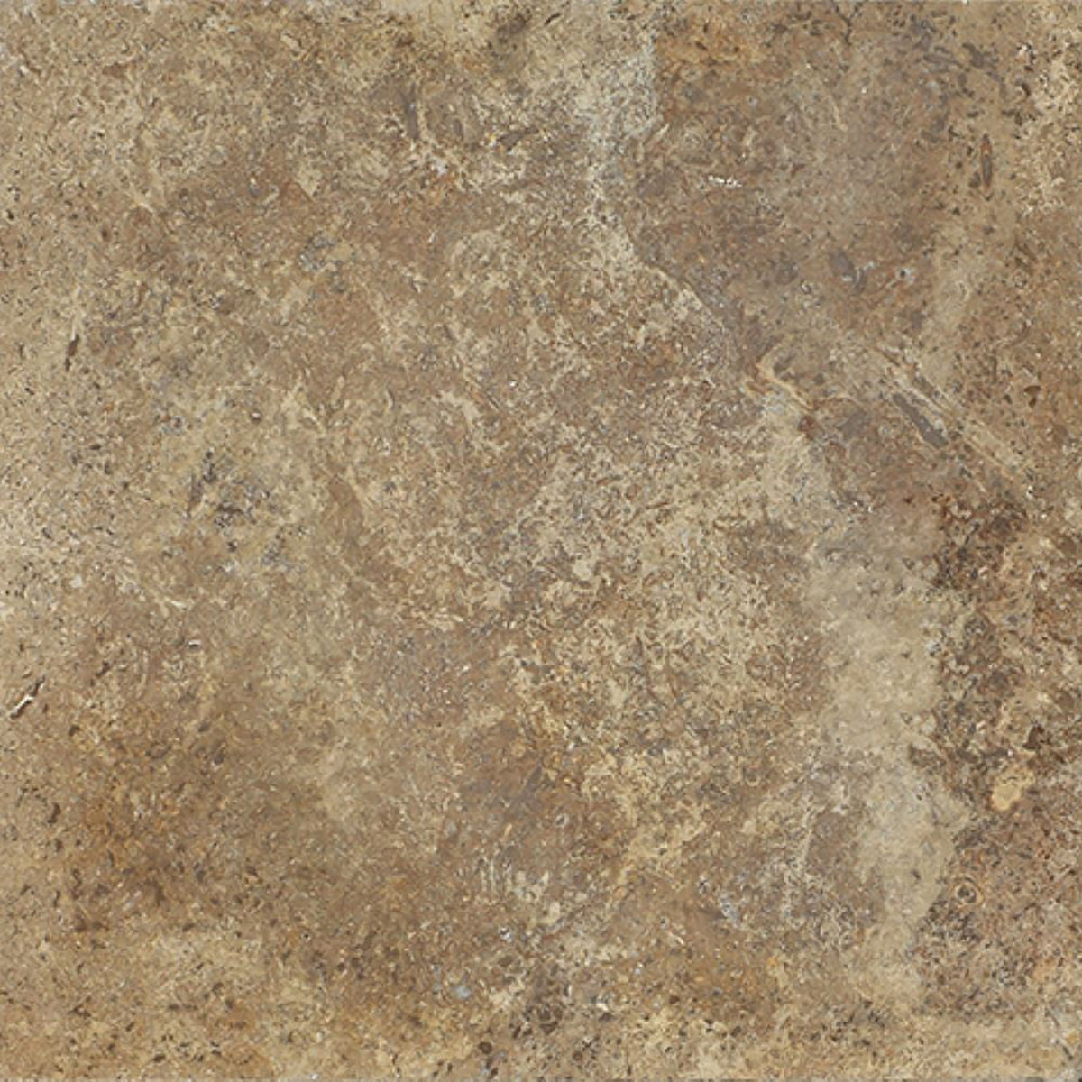 Noce Dark CC Honed 12'' x 12''  x 3/8'' Field Tile
