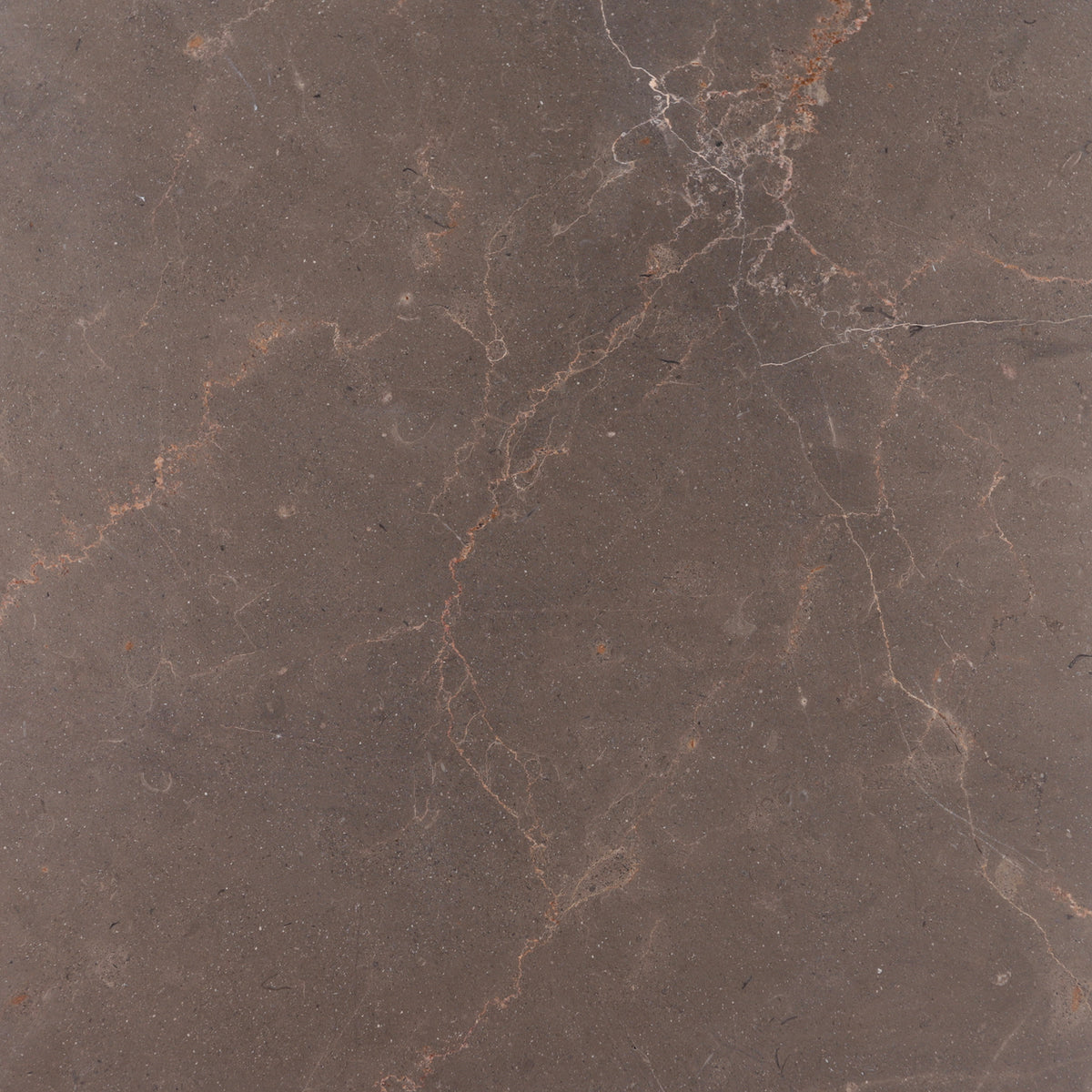 Chocolate Bronze Honed 12'' x 12''  x 3/8'' Field Tile