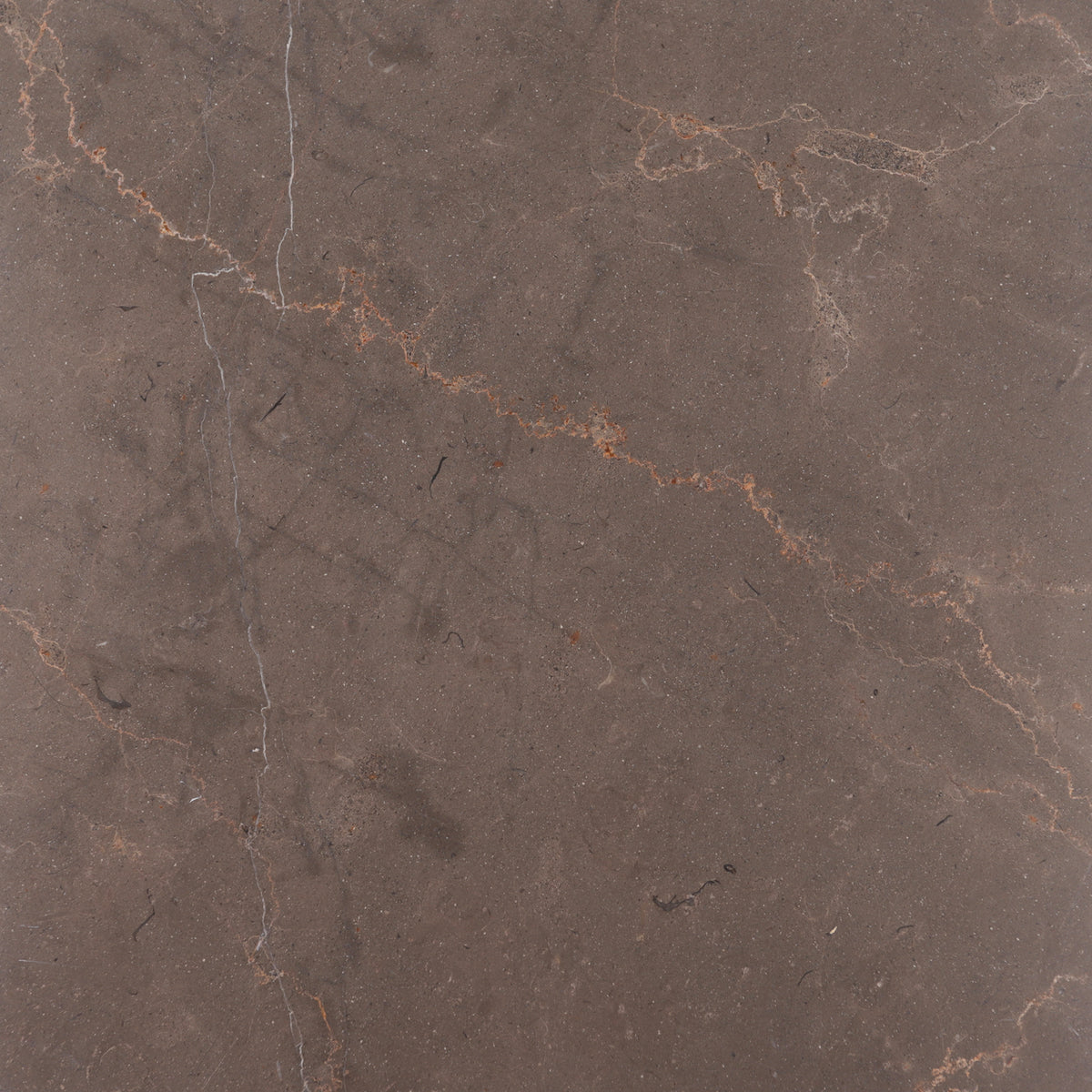 Chocolate Bronze Honed 12'' x 12''  x 3/8'' Field Tile