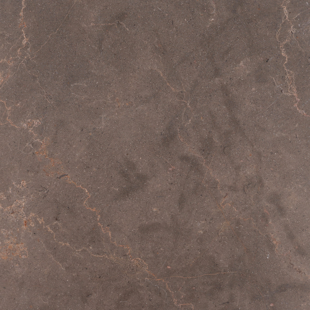 Chocolate Bronze Honed 12'' x 12''  x 3/8'' Field Tile
