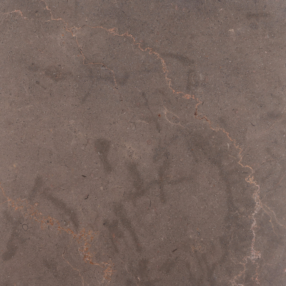 Chocolate Bronze Honed 12'' x 12''  x 3/8'' Field Tile