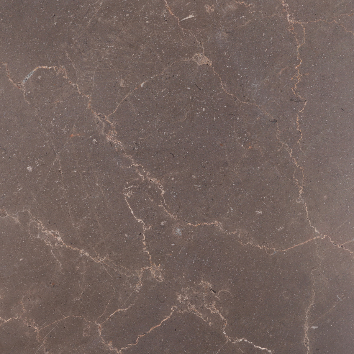 Chocolate Bronze Honed 12'' x 12''  x 3/8'' Field Tile