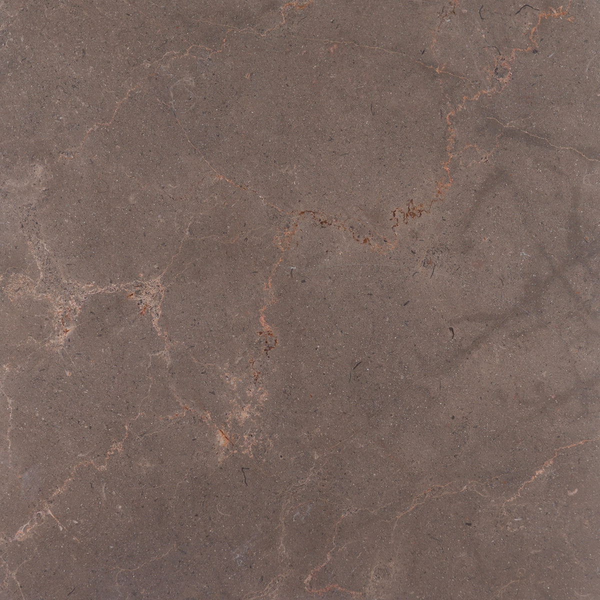 Chocolate Bronze Honed 12'' x 12''  x 3/8'' Field Tile