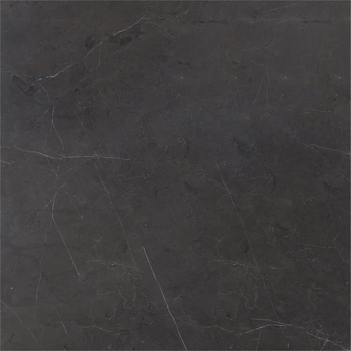 Mount Grey Plain Brushed 18'' x 18''  x 1/2'' Field Tile