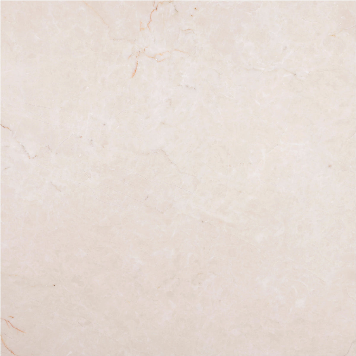 Crema Ella Polished 18'' x 18''  x 5/8'' Field Tile Building Materials 