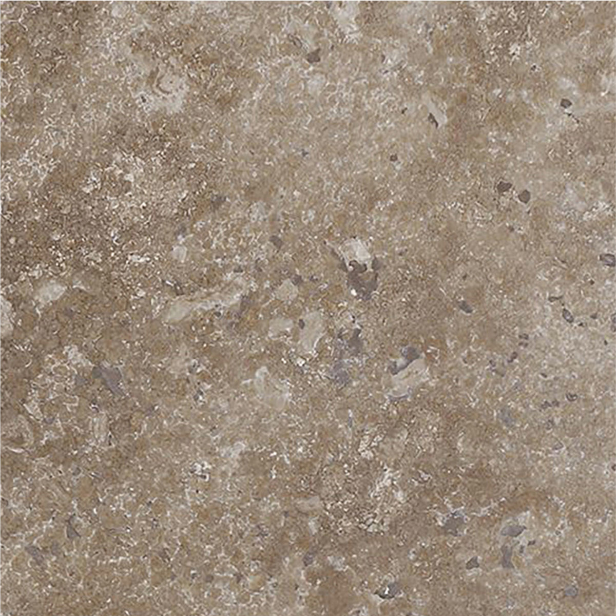 Noce Dark CC Honed 6'' x 6''  x 3/8'' Field Tile
