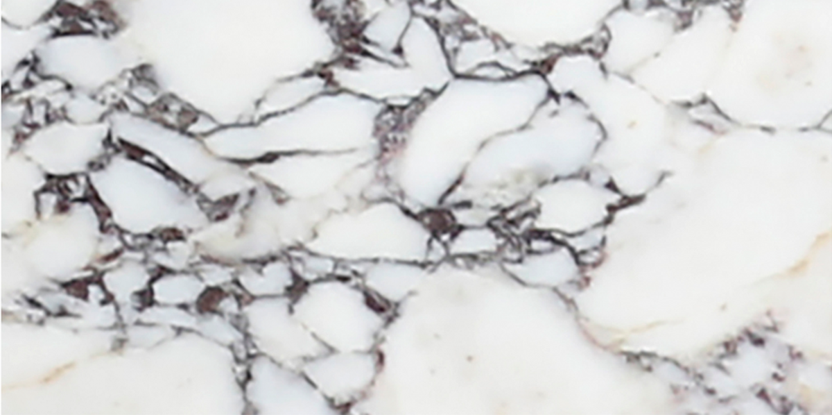 Calacatta Viola Honed 6'' x 12''  x 3/8'' Field Tile