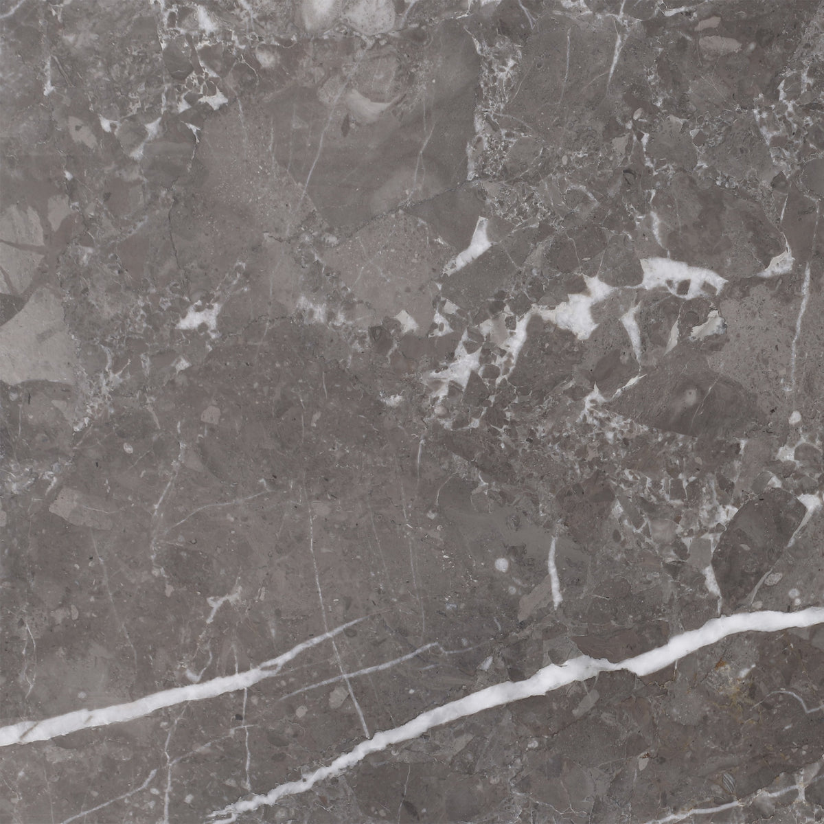 Caribbean Grey Honed 12'' x 12''  x 1/2'' Field Tile Building Materials 