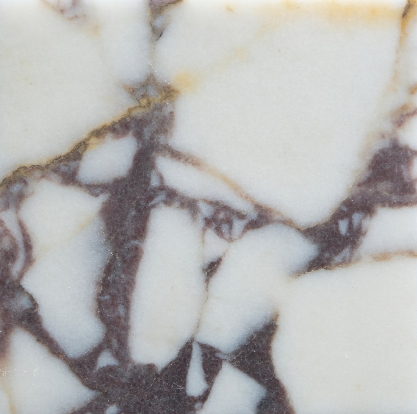 Calacatta Viola Honed 4'' x 4''  x 3/8'' Field Tile Building Materials 
