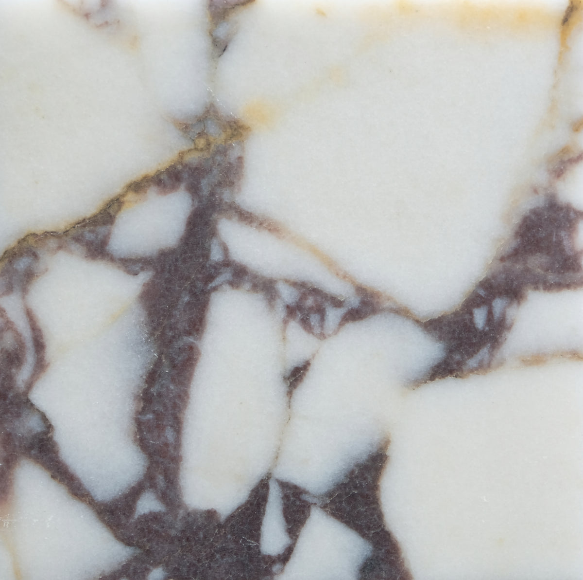 Calacatta Viola Honed 4'' x 4''  x 3/8'' Field Tile