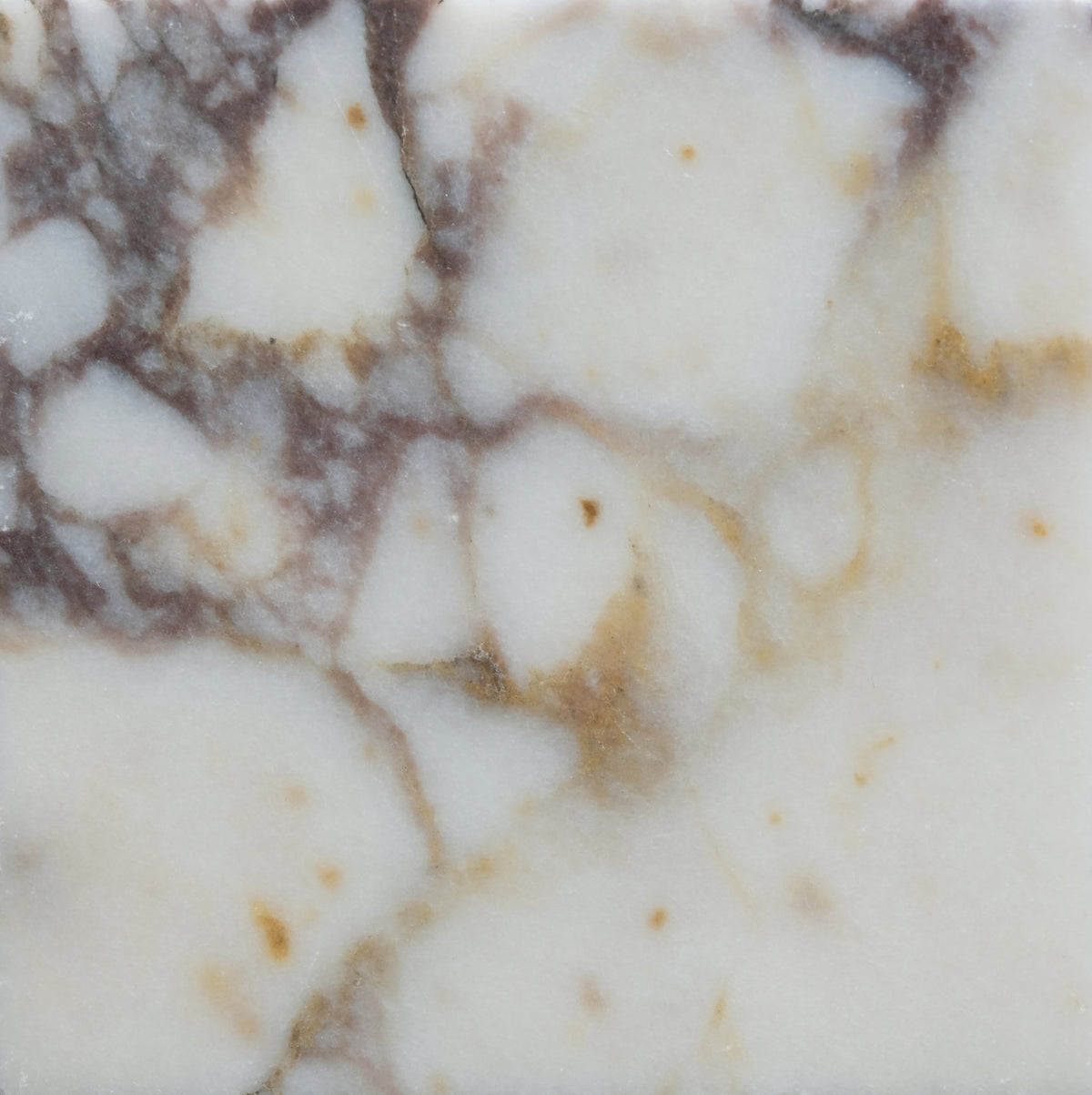 Calacatta Viola Honed 4'' x 4''  x 3/8'' Field Tile