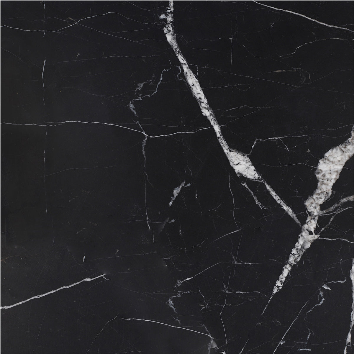 Black Silk Honed 18'' x 18''  x 1/2'' Field Tile