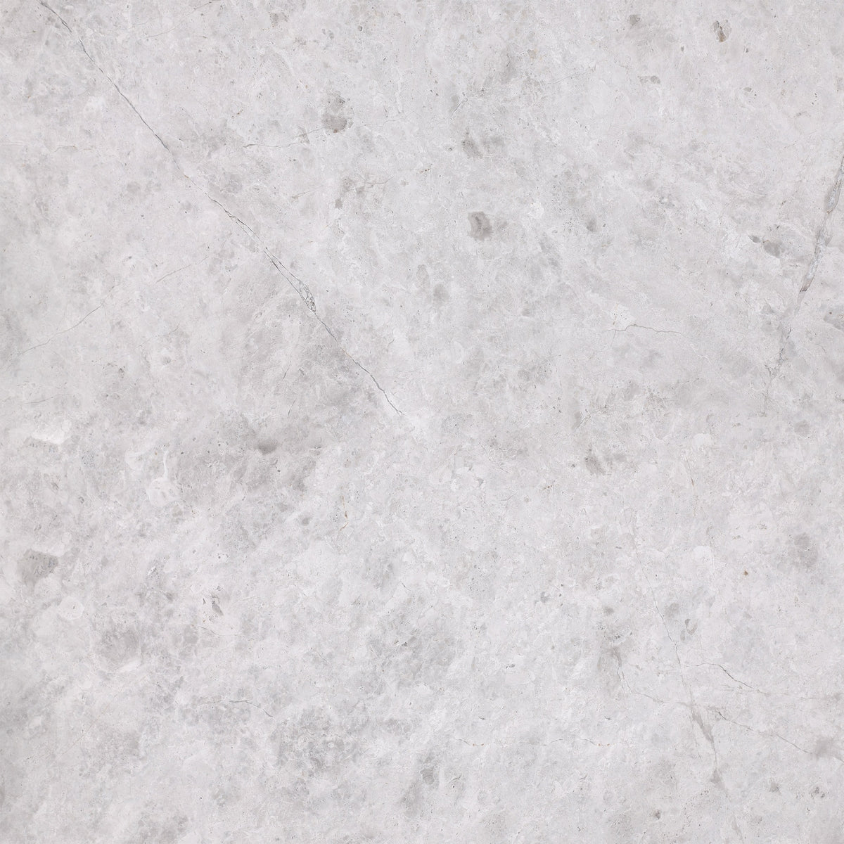 Tundra Grey Honed 24'' x 24''  x 5/8'' Field Tile