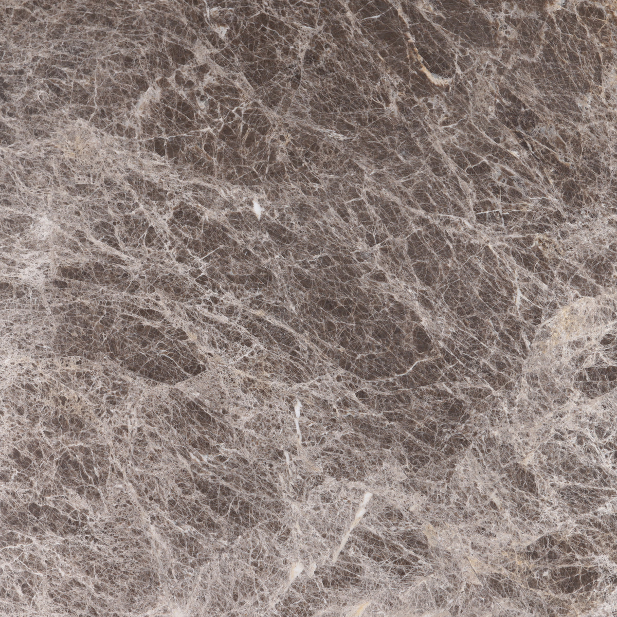 Emperador Dark Polished 12'' x 12''  x 3/8'' Field Tile