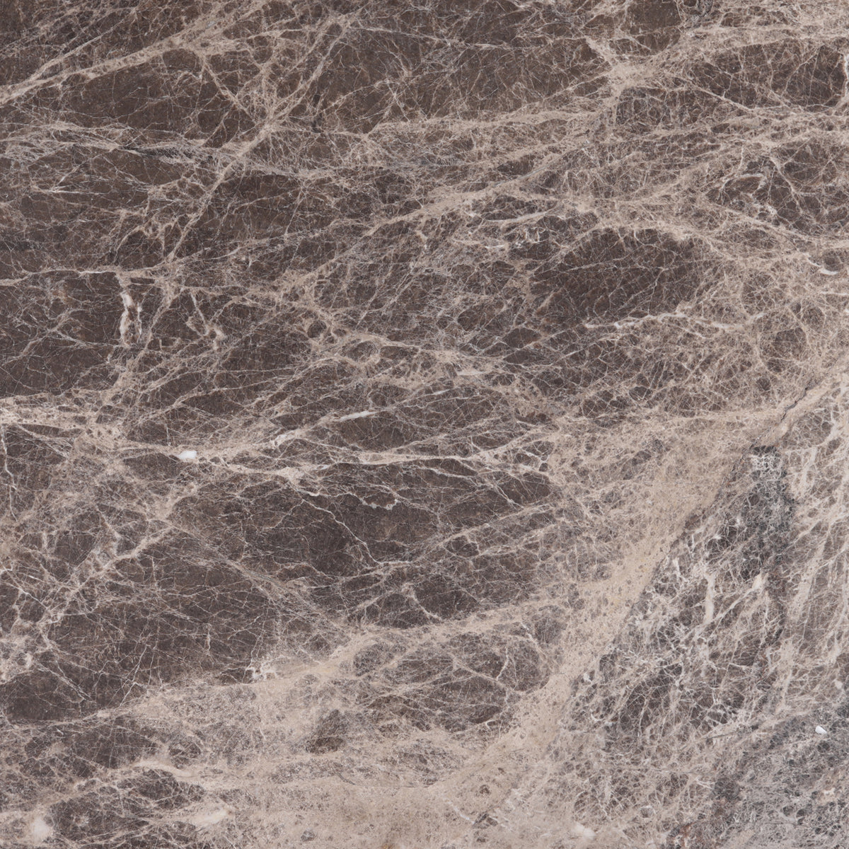 Emperador Dark Polished 12'' x 12''  x 3/8'' Field Tile