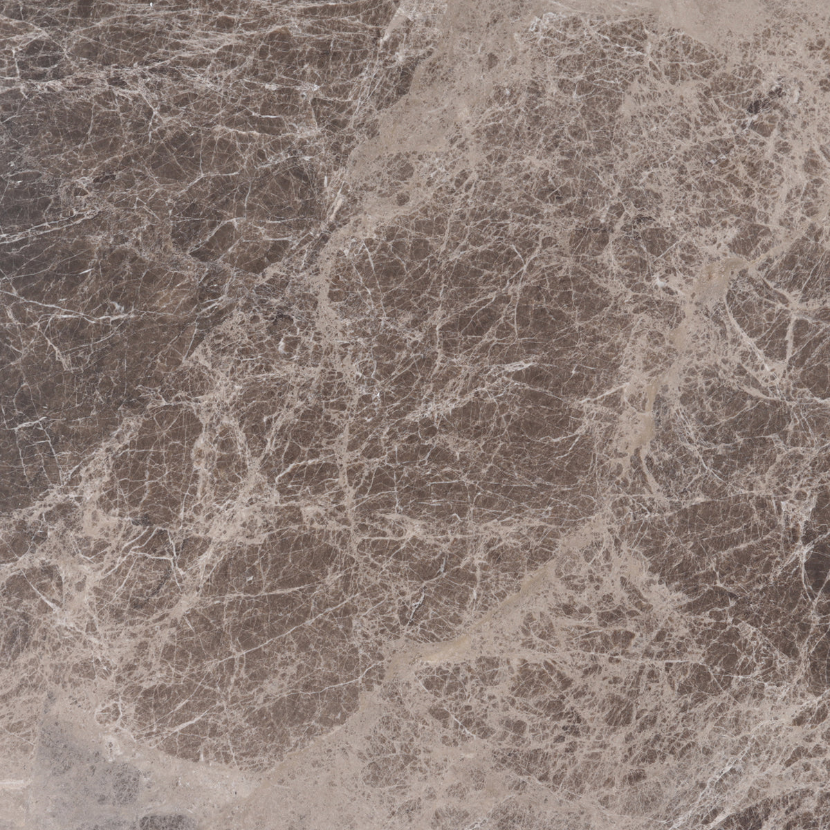 Emperador Dark Polished 12'' x 12''  x 3/8'' Field Tile