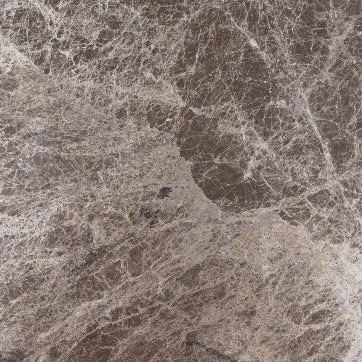 Emperador Dark Polished 12'' x 12''  x 3/8'' Field Tile
