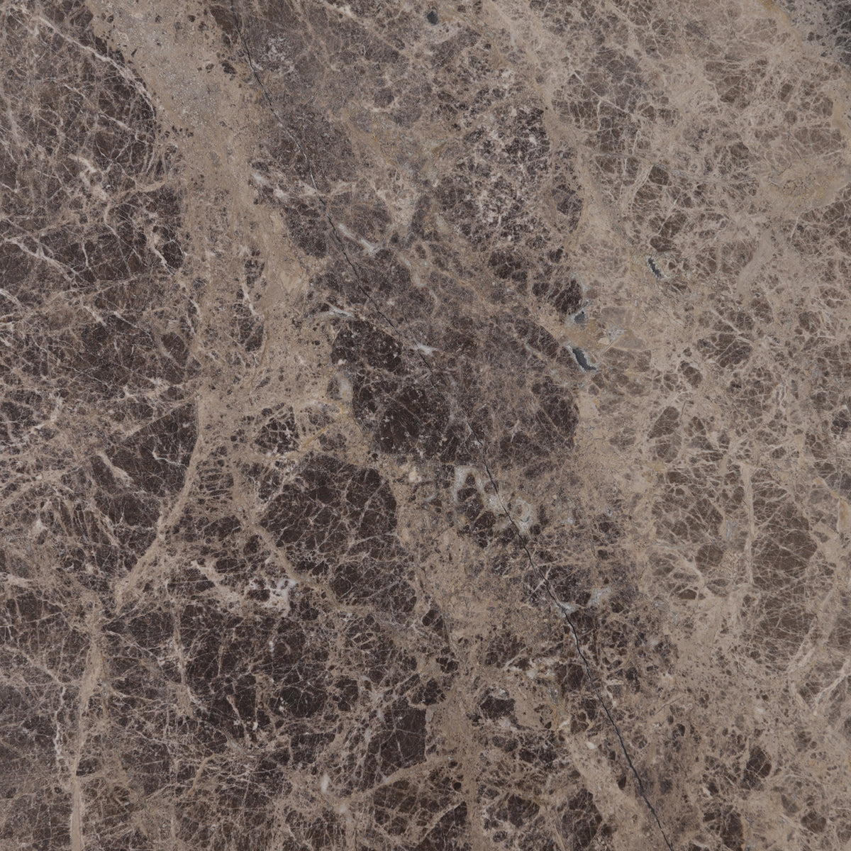 Emperador Dark Polished 12'' x 12''  x 3/8'' Field Tile
